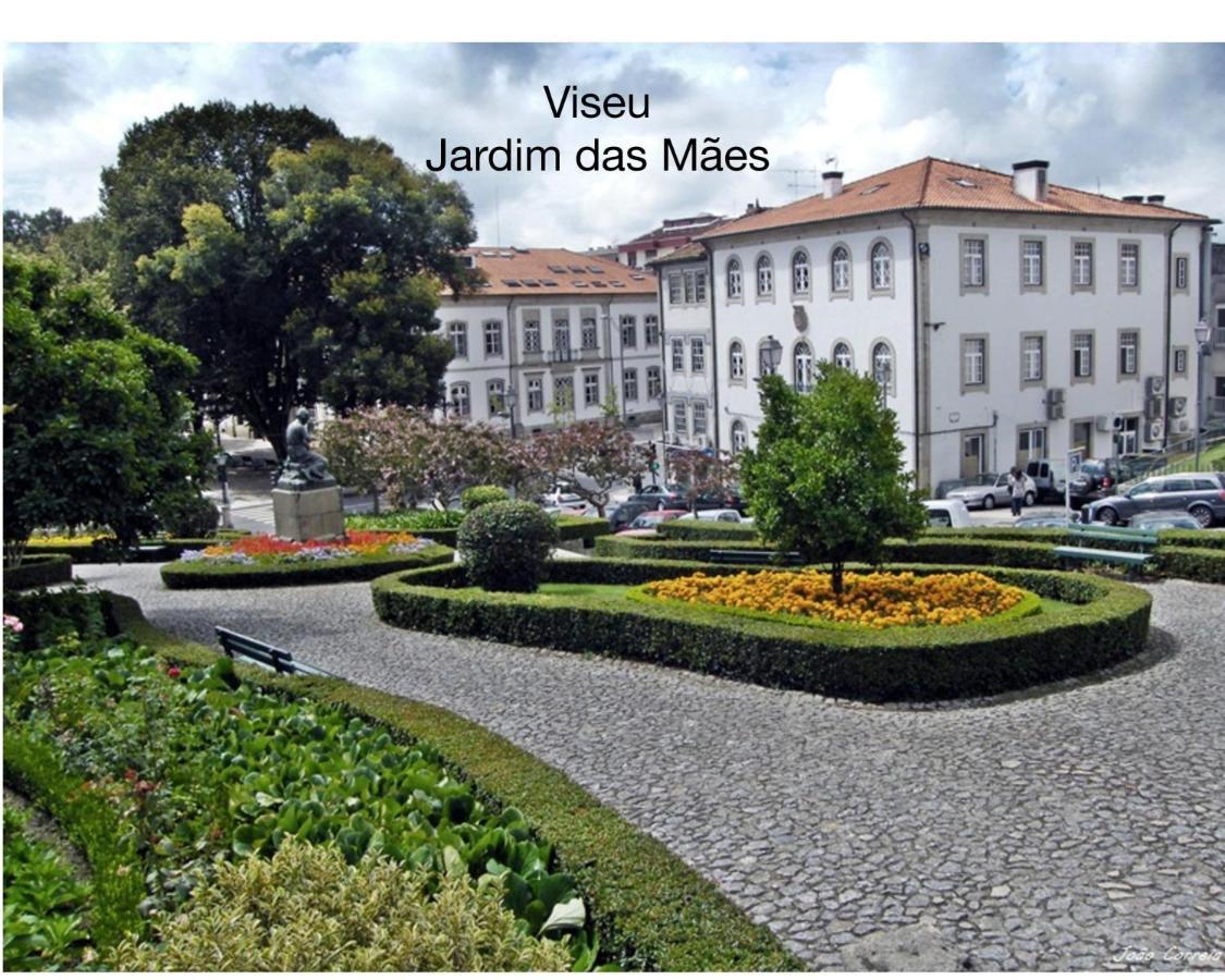 Quinta Monteluz Apartamento Viseu Exterior foto